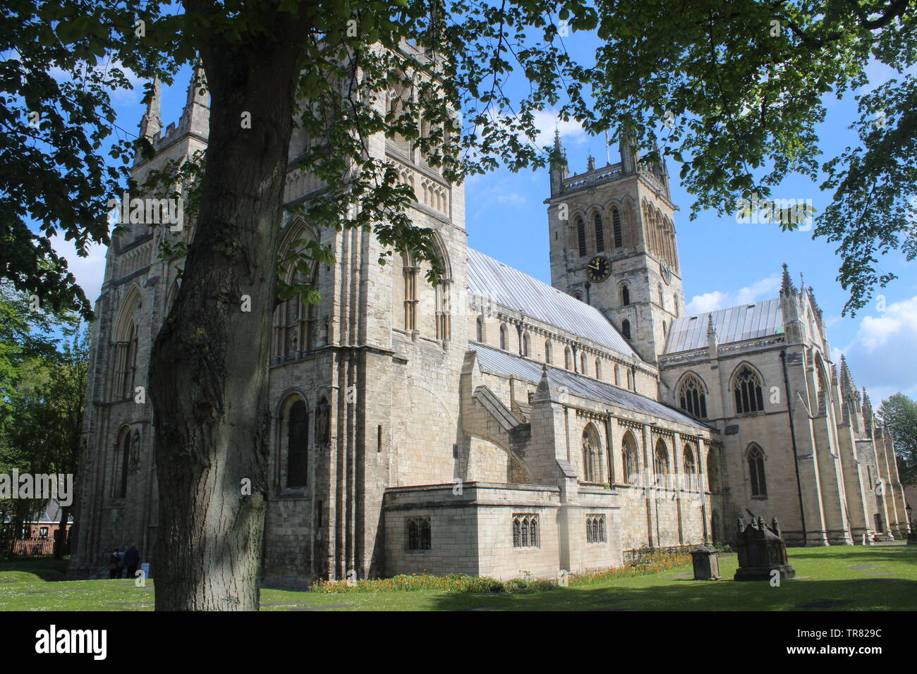 Selby Abbey,abbazia medievale chiesa North Yorkshire, Inghilterra, Regno Unito Foto Stock