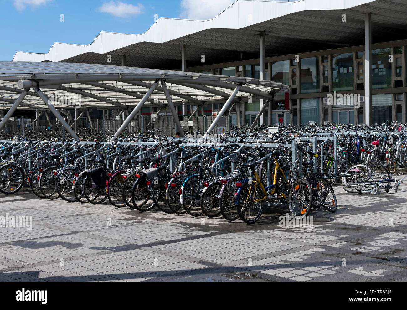 Sint Niklaas, Belgio, 05 maggio 2019, affollato bike capannone presso la stazione ferroviaria di Sint Niklaas Foto Stock