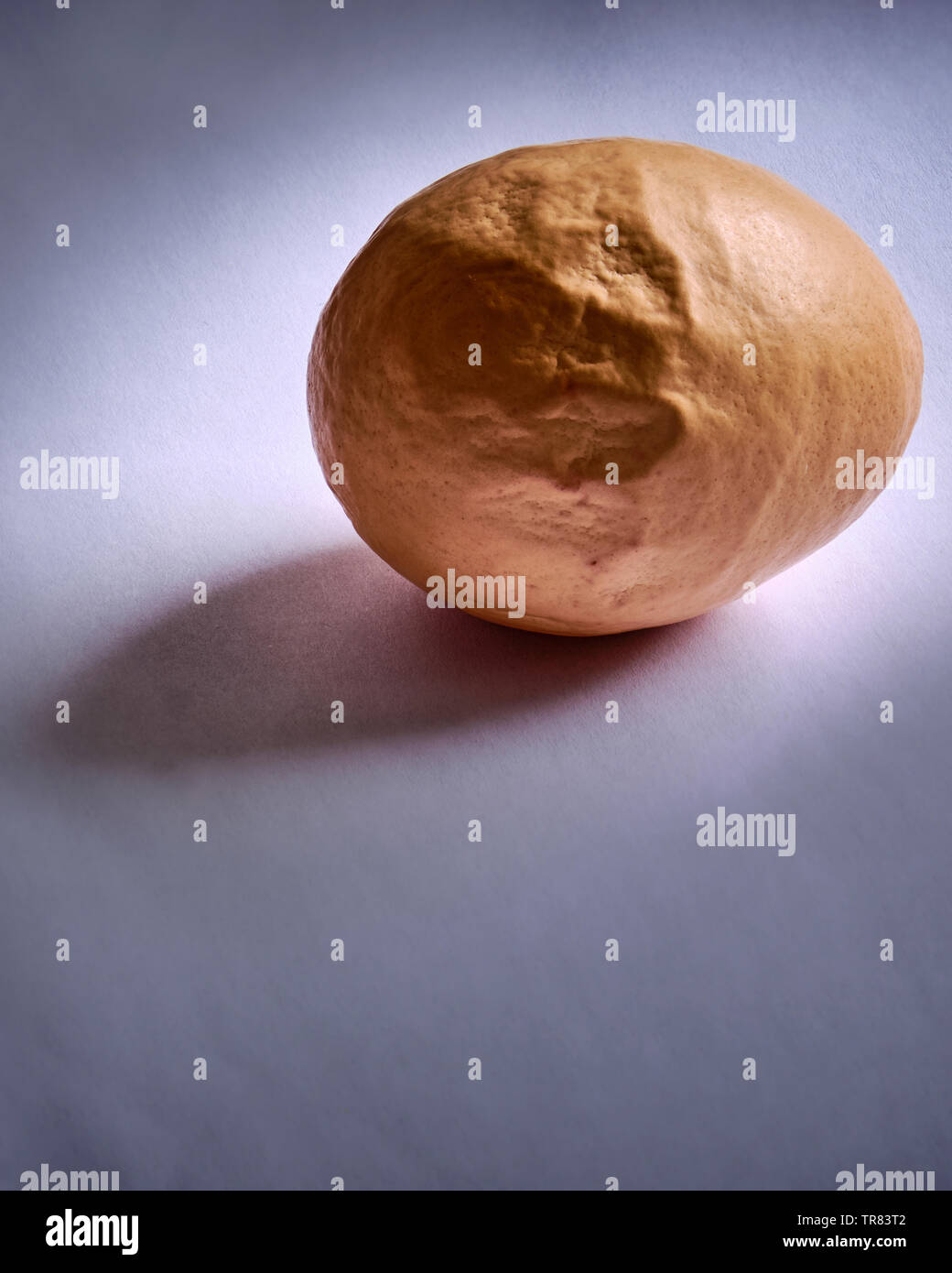 Un stranamente ruvido e marrone a guscio d'uovo su uno sfondo bianco. Foto Stock