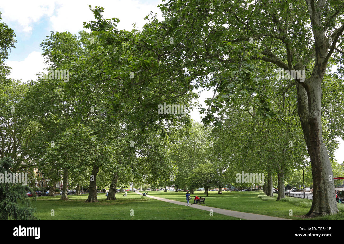 Verde d'oca in East Dulwich, Londra, Regno Unito. Un famoso parco recintato tra Grove Vale, East Dulwich Road e Adys Road SE15 Foto Stock