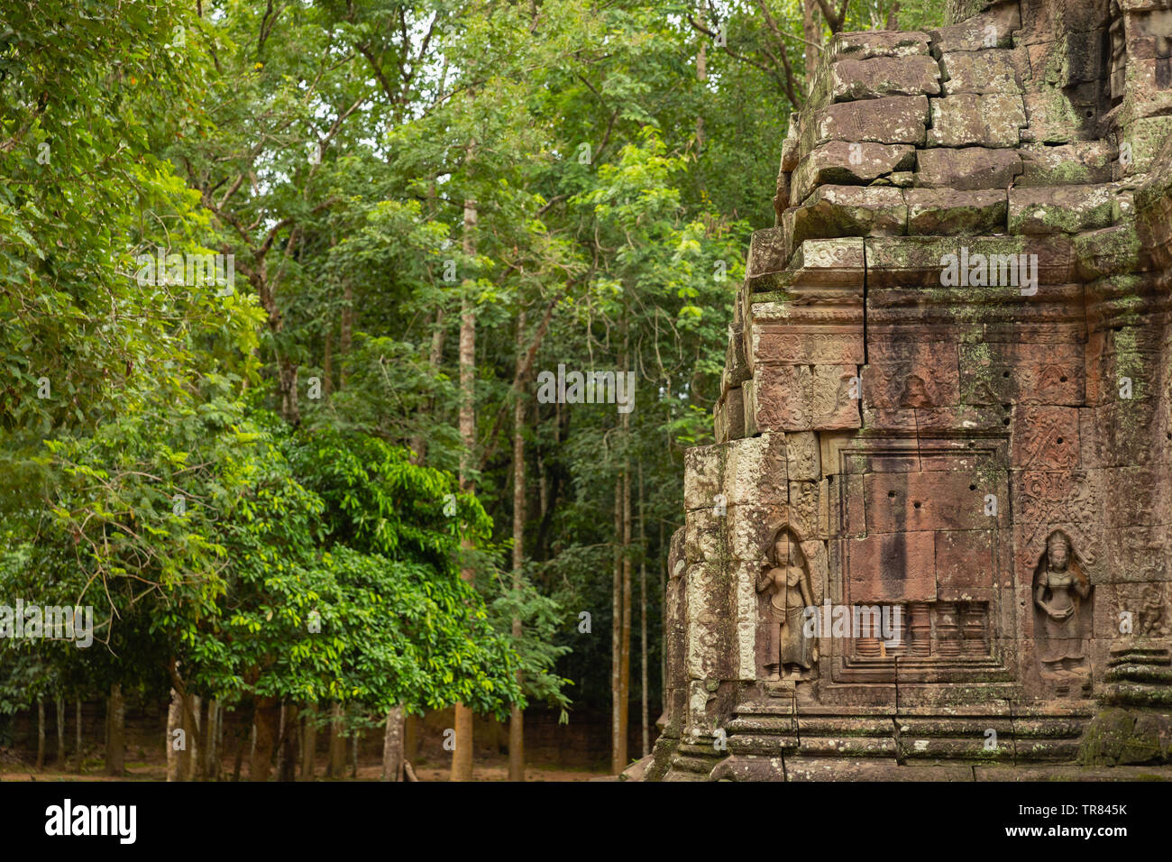 Ta Som, Tempio di Angkor, Sito Patrimonio Mondiale dell'UNESCO, Siem Reap Provincia, Cambogia, Indocina, Asia sud-orientale, Asia Foto Stock