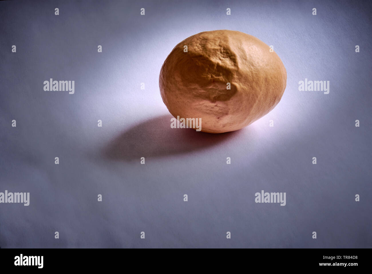 Un stranamente ruvido e marrone a guscio d'uovo su uno sfondo bianco. Foto Stock