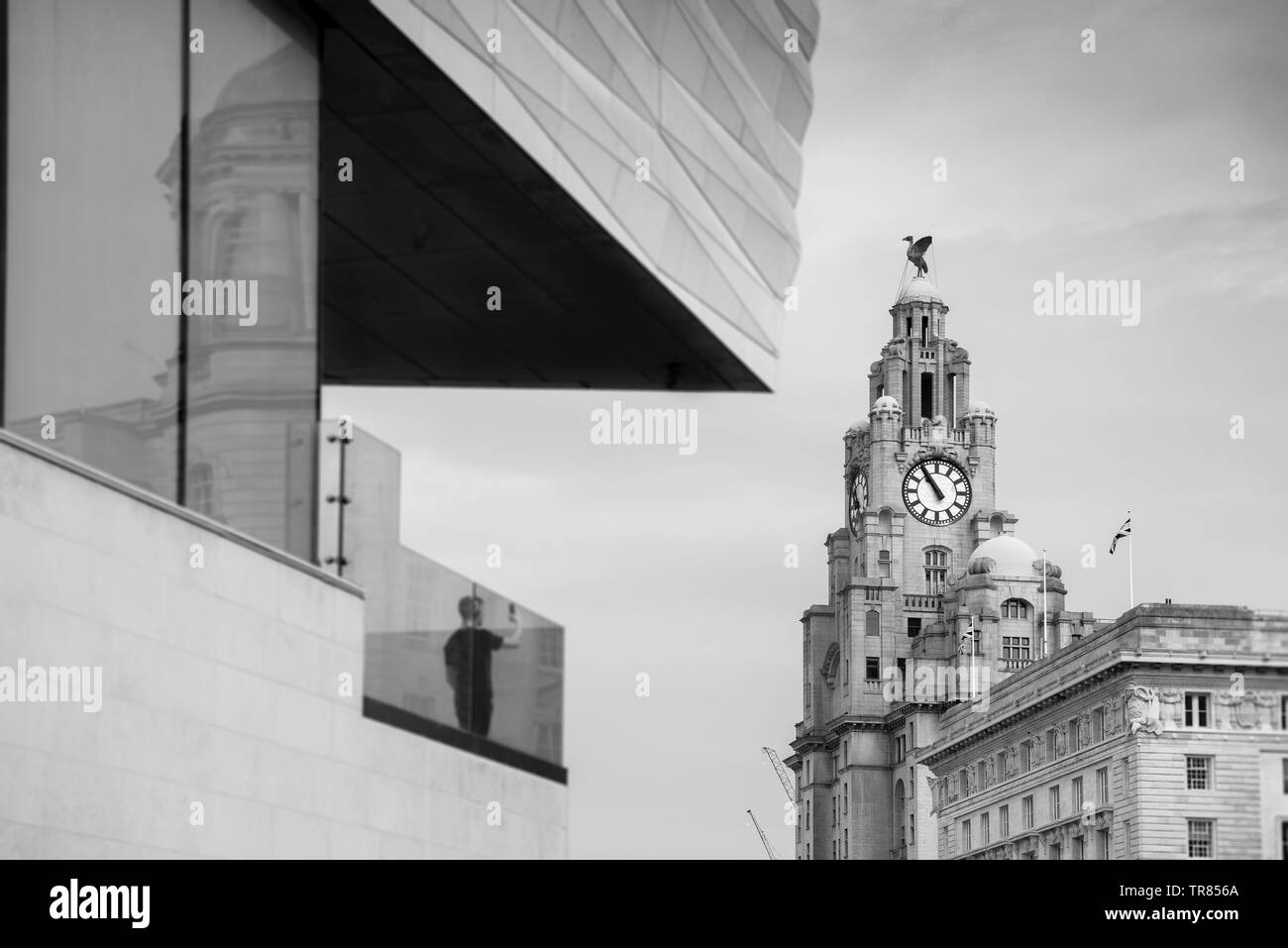 L'iconico Edificio di fegato, Liverpool fotografato in bianco e nero. Foto Stock