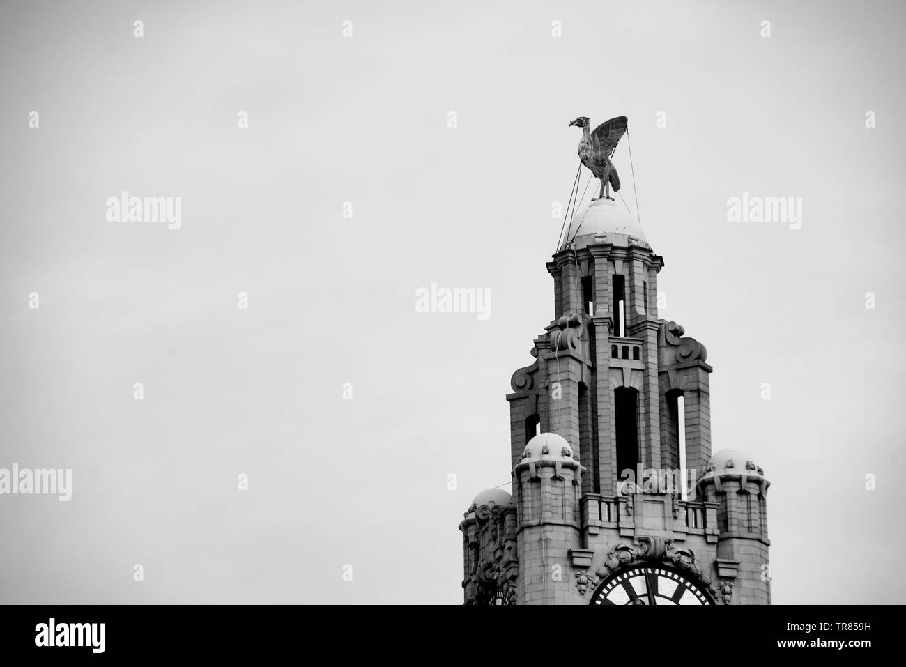 Close up Liver Building in bianco e nero Foto Stock