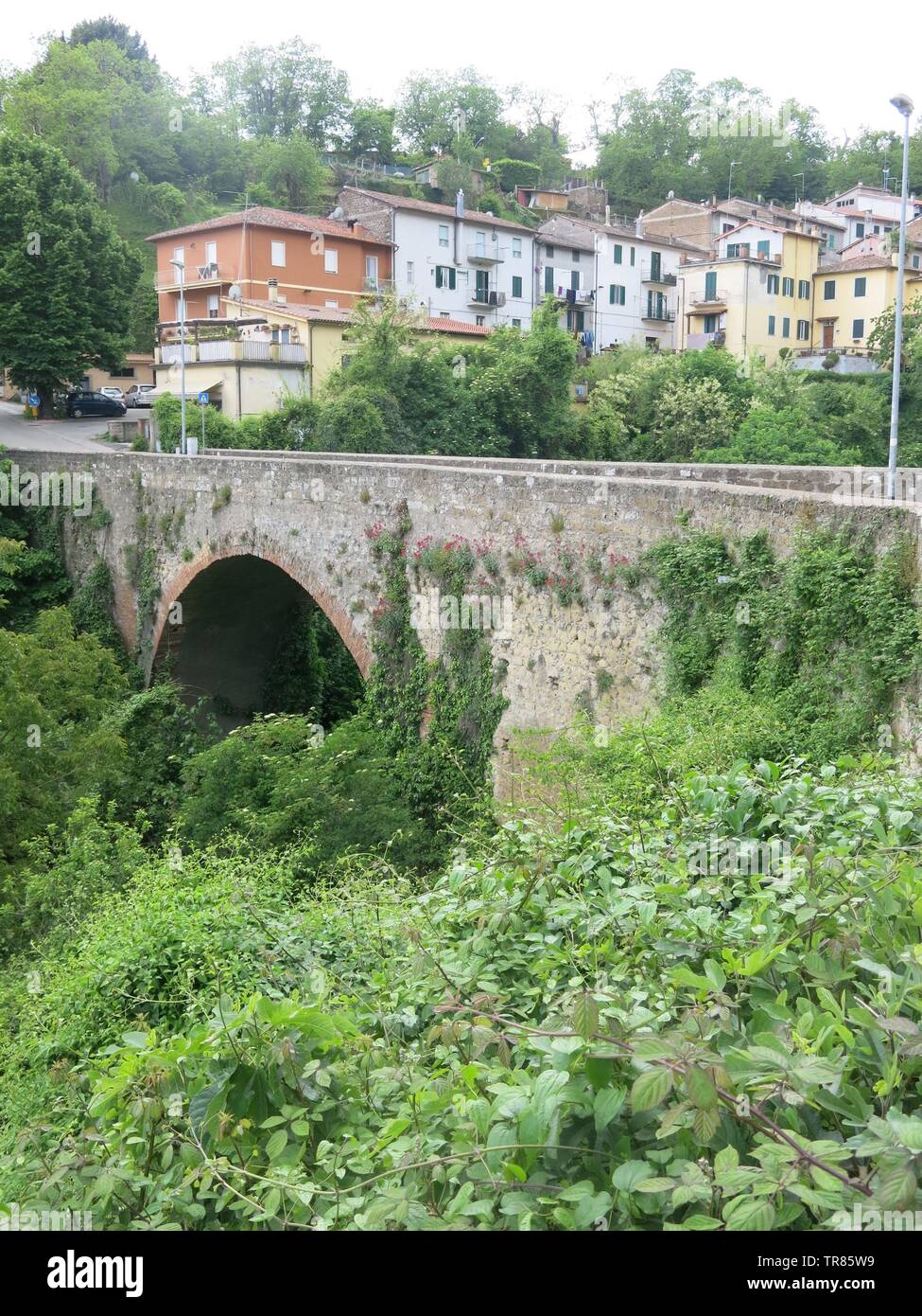 Vista del paese collinare di Caprarola con un antico ponte di pietra ed edifici tumbling giù per la collina Foto Stock