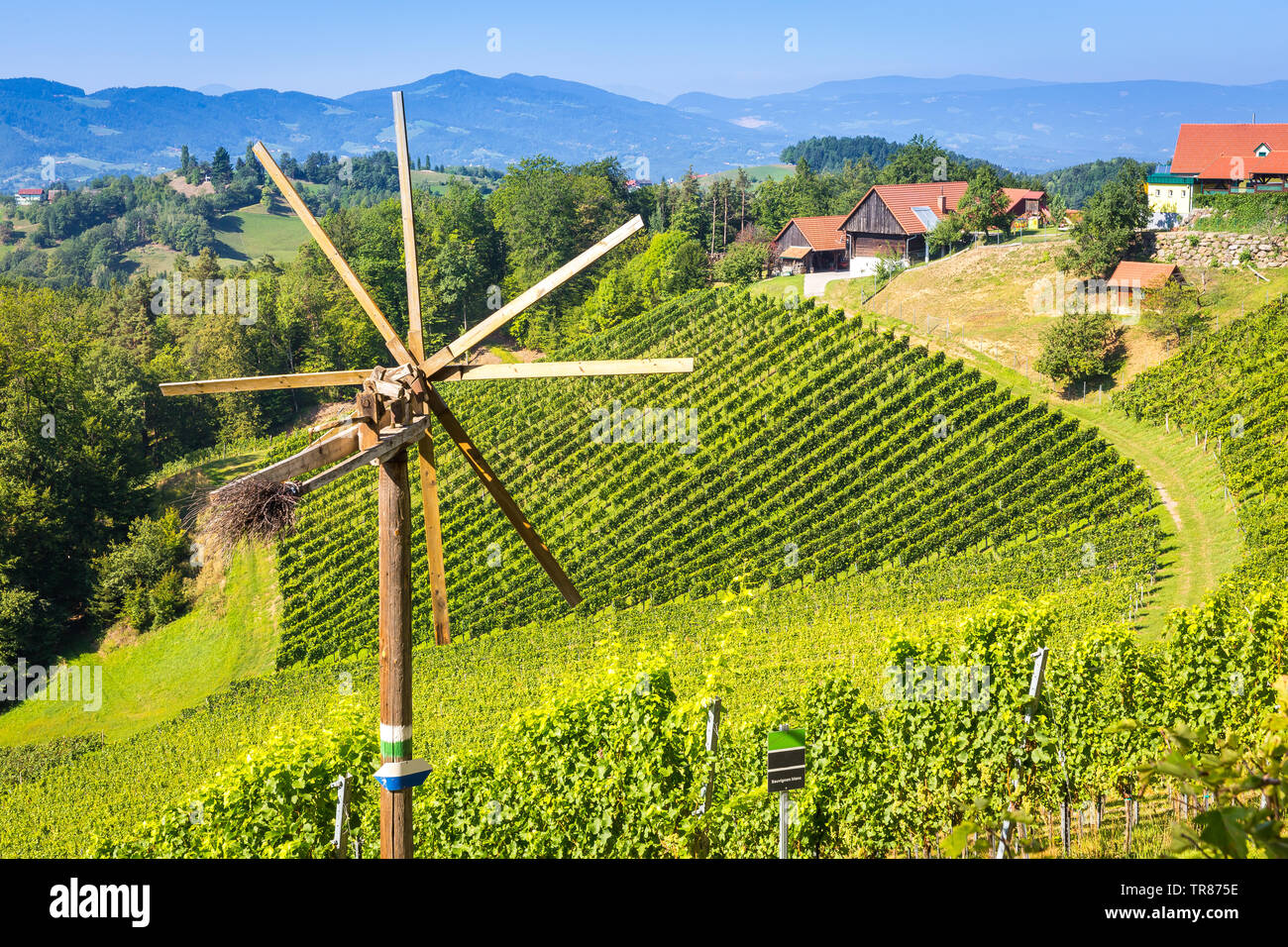 Il mulino a vento a vigneto nel sud della Stiria, Austria Foto Stock