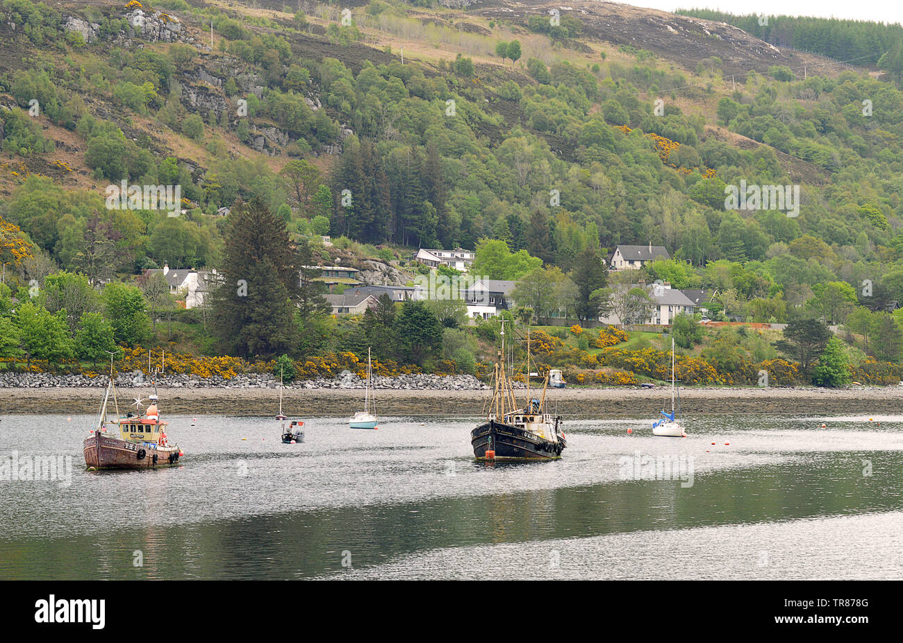ULLAPOOL, Scozia - 1 Maggio 2019: un mix di barche da pesca e da diporto giacciono al di ancoraggio in Loch Ginestra, Scozia. Foto Stock