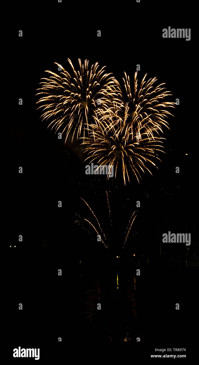 Fuochi d'artificio in Palm tree forma per il giorno della Bastiglia (Luglio 14th) in Francia Costa Azzurra Foto Stock