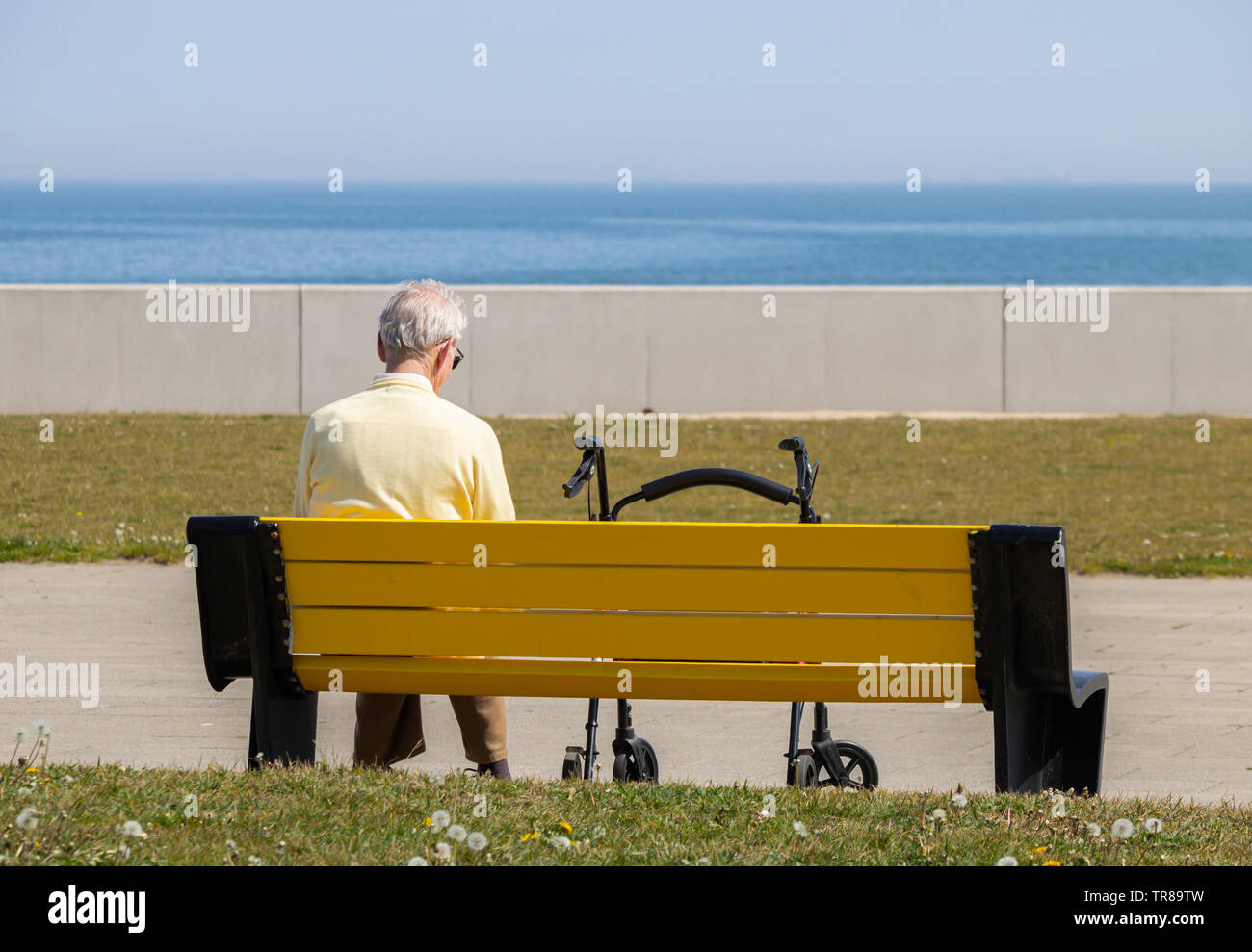 Vista posteriore di uomo anziano con walker/rollator seduto sul sedile/panchina che guarda al mare. Regno Unito Foto Stock