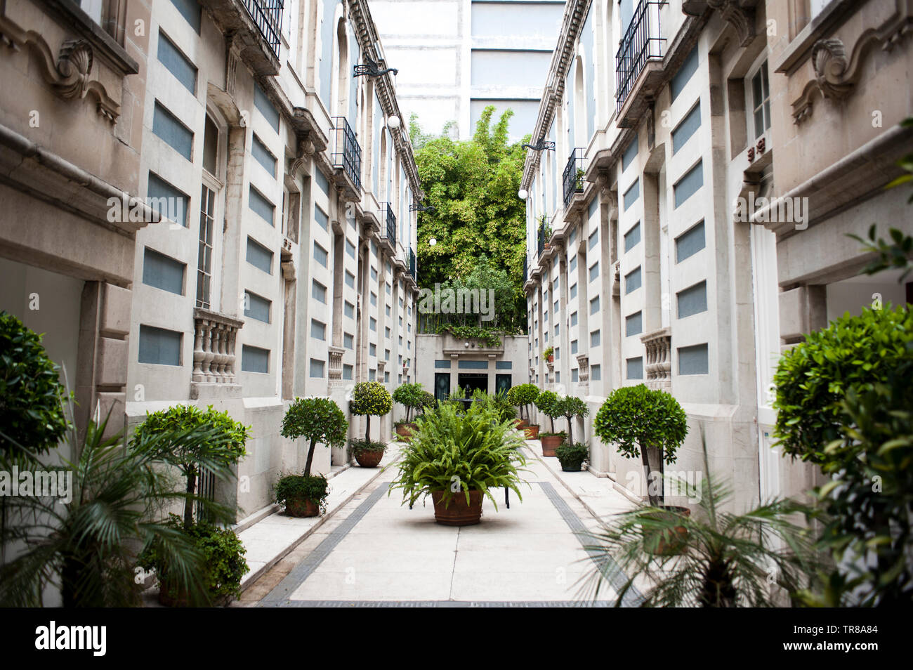 Balmori, Colonia Roma, Mexico DF. Foto Stock