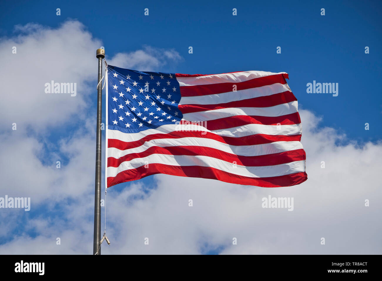 Bandiera americana battenti contro un cielo blu e nuvole bianche su un blustery giornata di primavera. Foto Stock