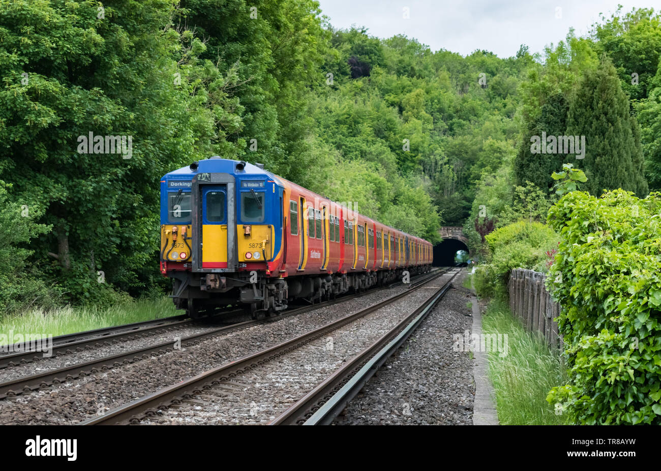 Una classe 455 South Western Railway per il servizio al passeggero il treno si avvicina un tunnel in la campagna del Surrey a Norbury Park, voce per Londra. Foto Stock
