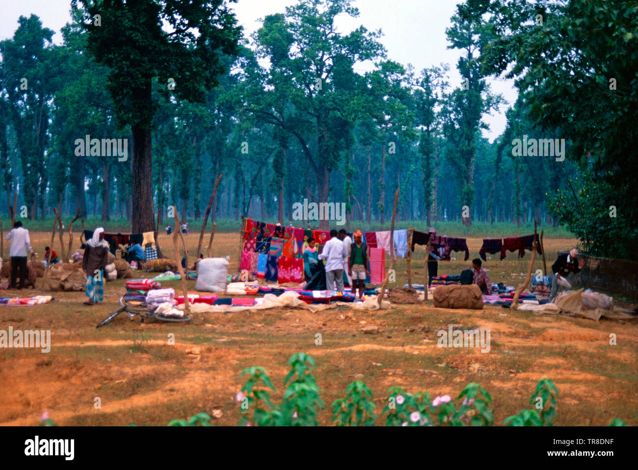 Mercato rurale,Nepal Foto Stock