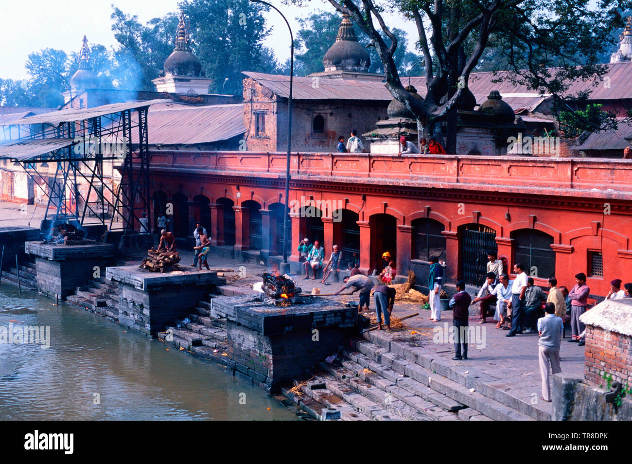 La cremazione,Tempio di Pashupatinath,Kathmandu Foto Stock