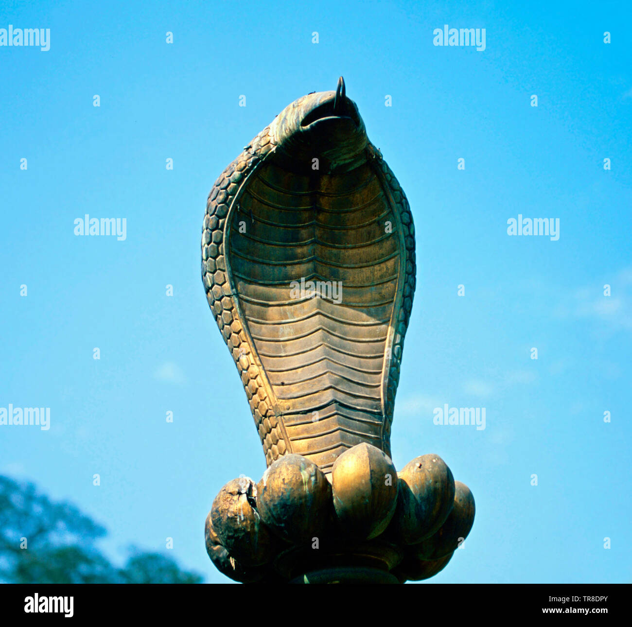 Naga o cobra testa,Tempio di Pashupatinath,Kathmandu Foto Stock