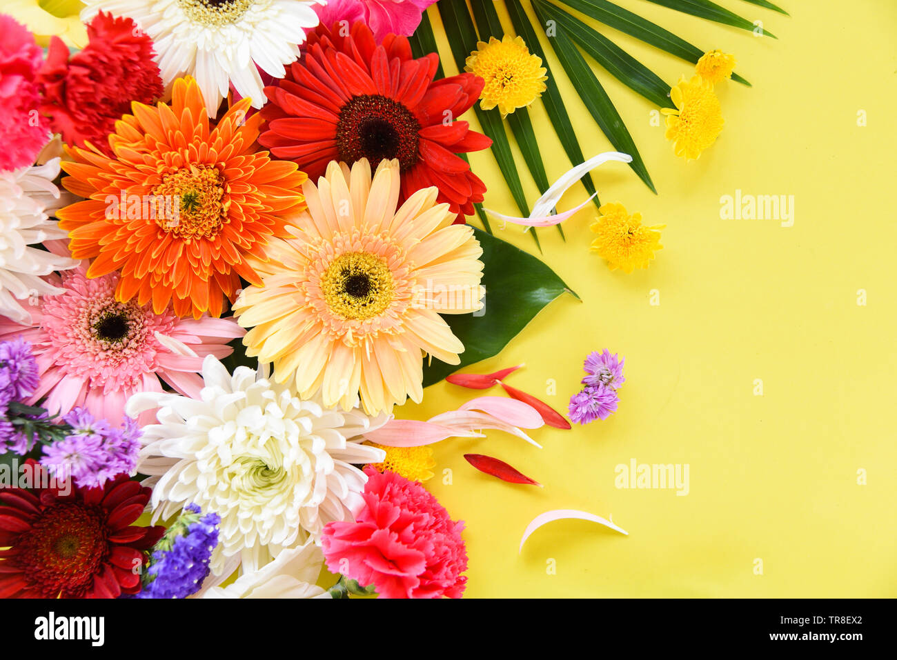 Molla di freschi Fiori d'estate la composizione della struttura pianta tropicale gerbera crisantemo fiori colorati in varie e foglie verdi su sfondo giallo beaut Foto Stock