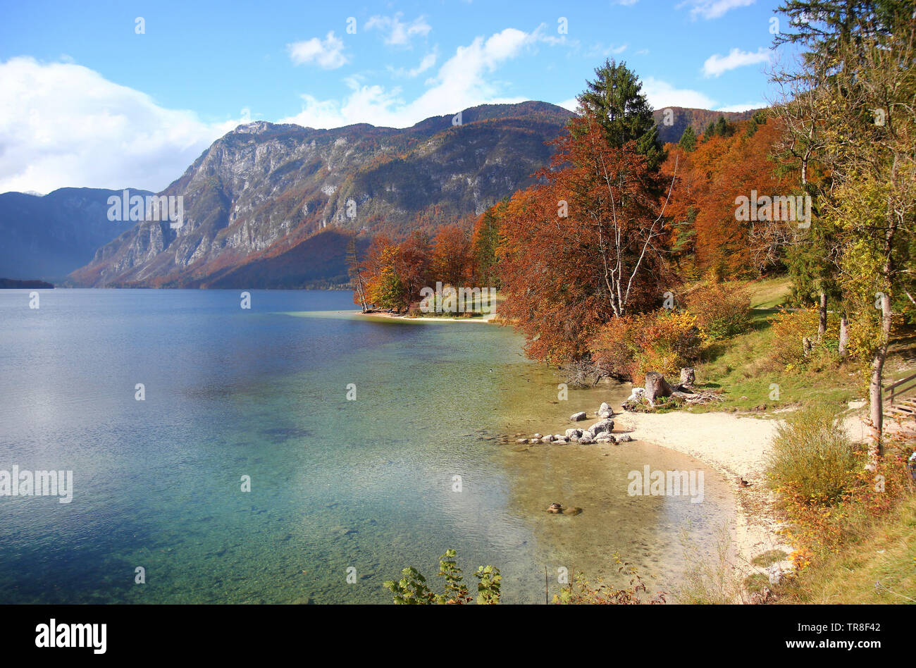 Lago di Bohinj, paesaggio autunnale a Ribcev laz, Sentiero pedonale Juliana, Alpi Giulie, Parco Nazionale del Triglav, Gorenjska (Carniola alta), Slovenia, Europa Foto Stock