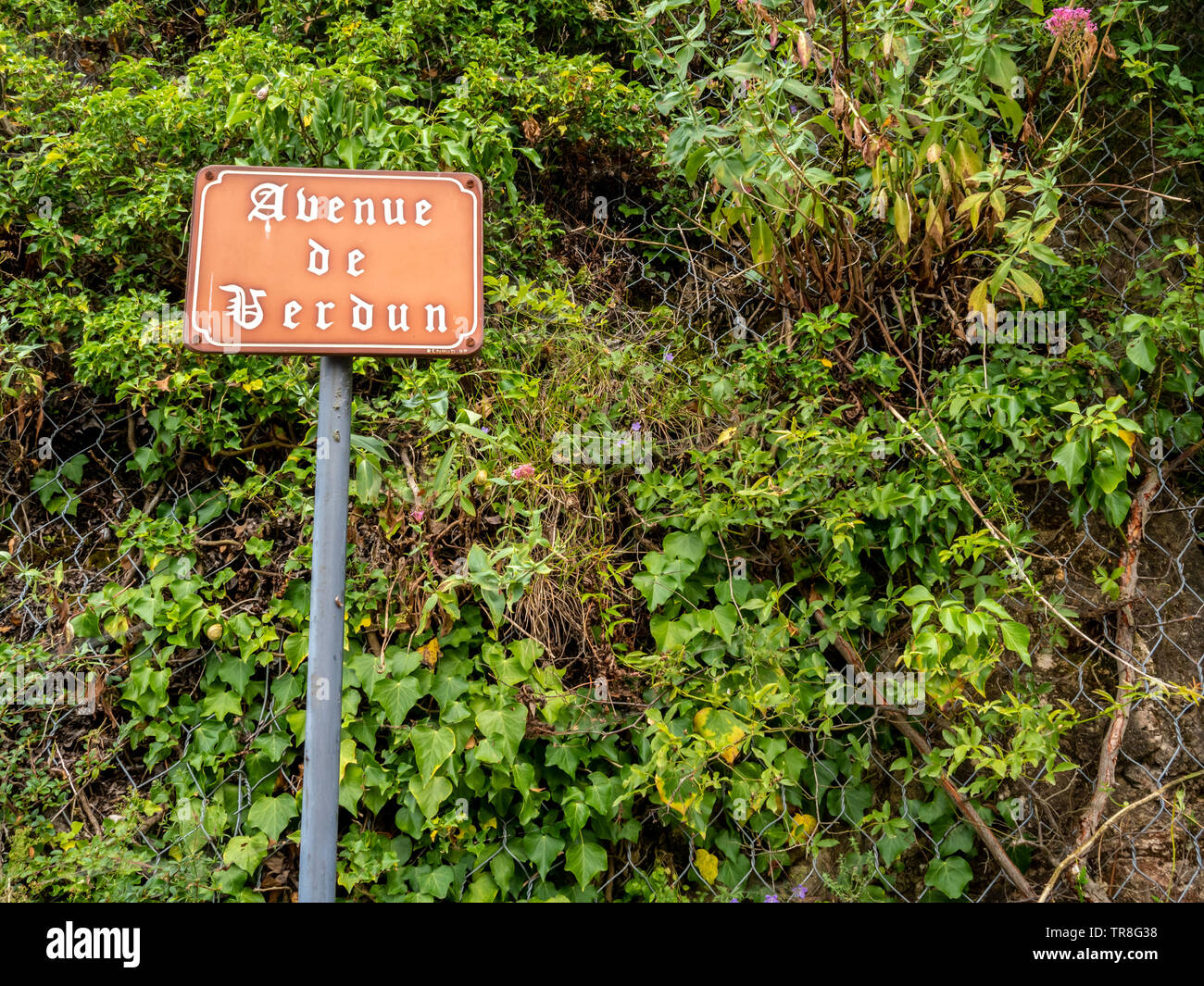 Avenue di Verdun accedi Sainte-Agnes, Riviera francese in estate Foto Stock