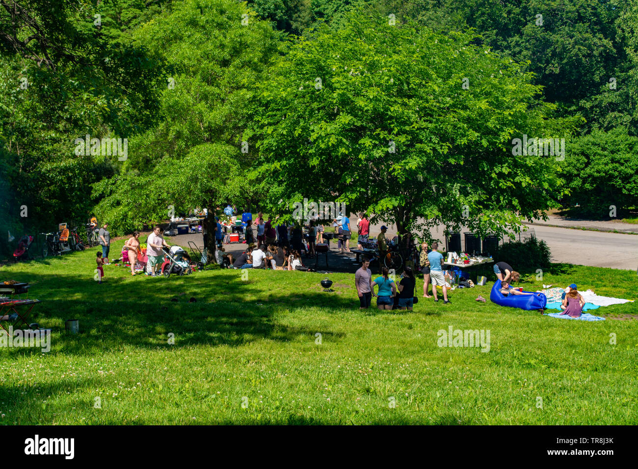 Le famiglie e gli amici stanno godendo un picnic in una giornata di sole nel Prospect Park di Brooklyn Foto Stock