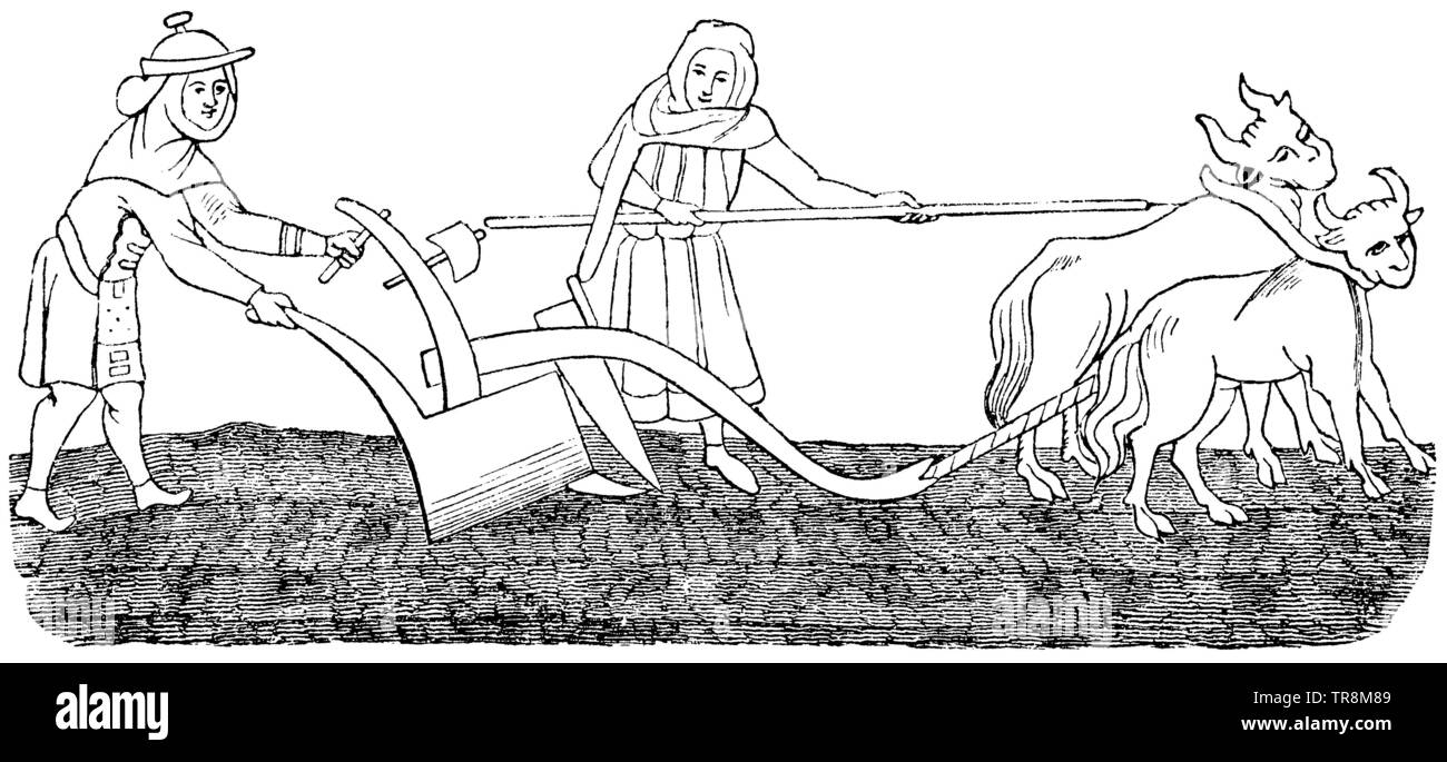 Campo Lavoratore. Basato sull'immagine di un antico manoscritto del XII secolo in Germania, , (Enciclopedia, 1893) Foto Stock