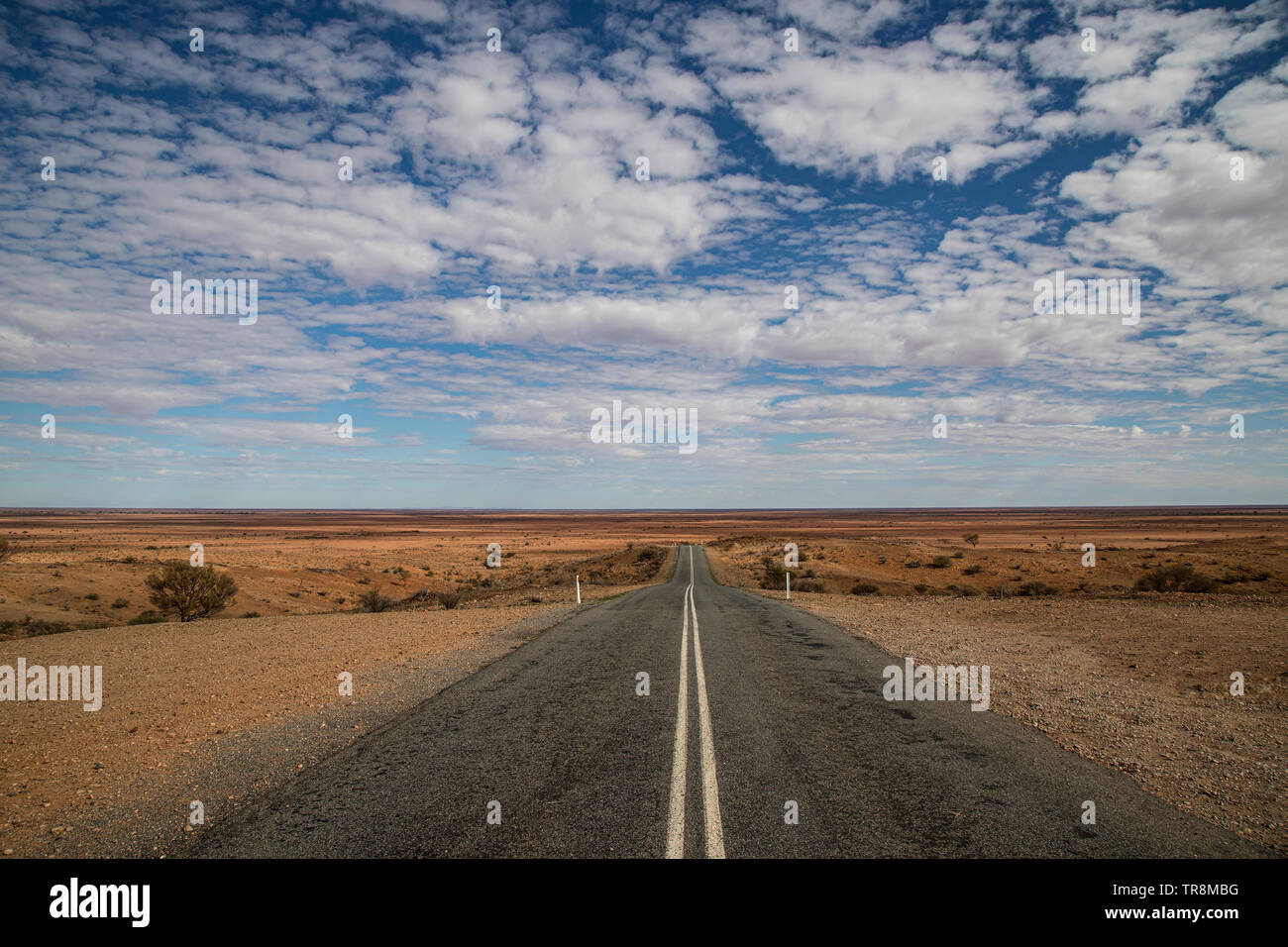 Outback road nel Nuovo Galles del Sud, Australia. Foto Stock