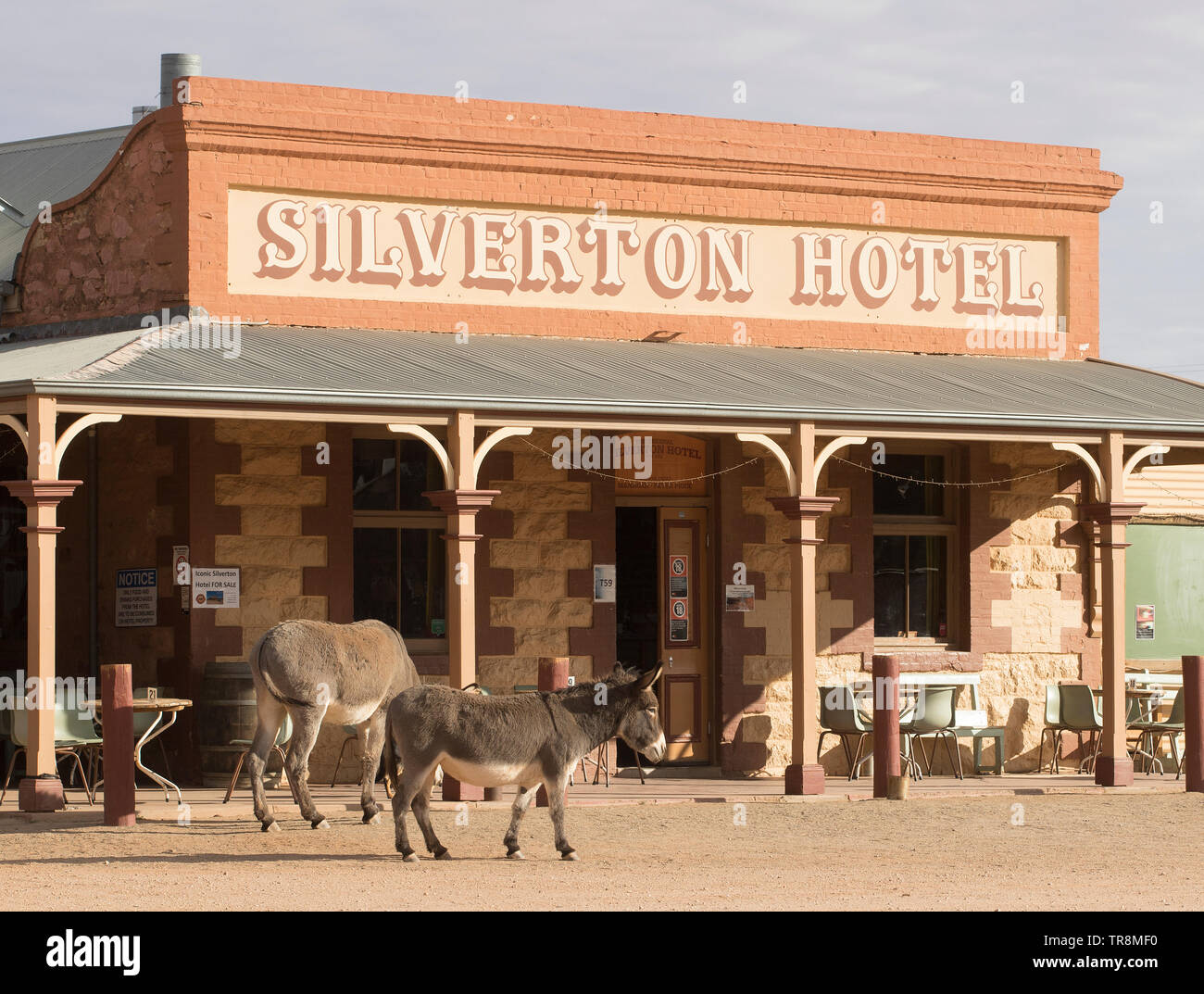 La città fantasma di Silverton nell'entroterra del nuovo Galles del Sud e l'hotel Silverton con gli asini residenti in città. Foto Stock