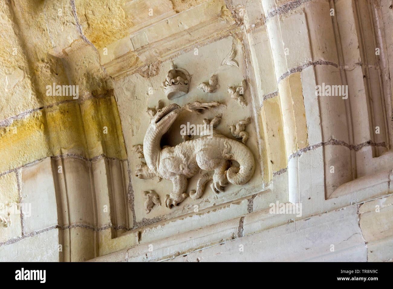 Basso rilievo di una salamandra, simbolo di Francois nel Castello reale di Chambord, Loir et Cher, Centre Val de Loire, Francia, Europa Foto Stock