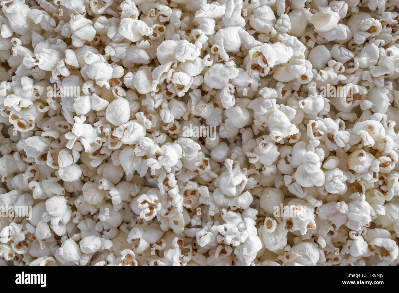 Il mais popcorn. Ideale per le texture, gli sfondi e i concetti. Foto Stock