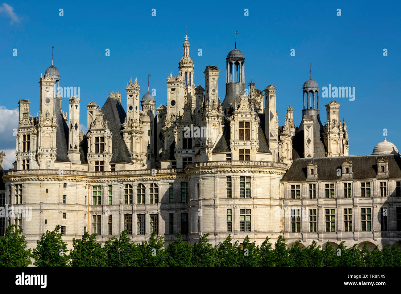 Chateau de Chambord, Valle della Loira, Loir-et-Cher reparto, Center-Val de la Loire, in Francia, in Europa Foto Stock