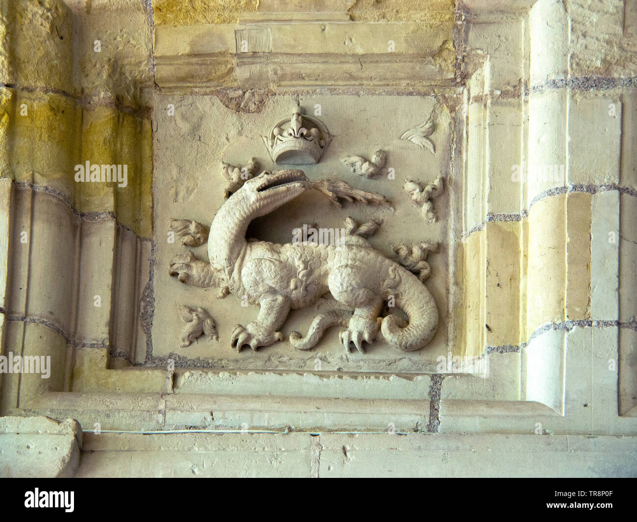 Basso rilievo di una salamandra, simbolo di Francois nel Castello reale di Chambord, Loir et Cher, Centre Val de Loire, Francia, Europa Foto Stock