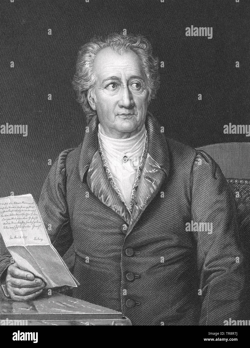 JOHANN WOLFGANG von Goethe (Francoforte sul Meno 1749 - Weimar 1832), romanziere tedesco, poeta e botanico nel 1828 Foto Stock