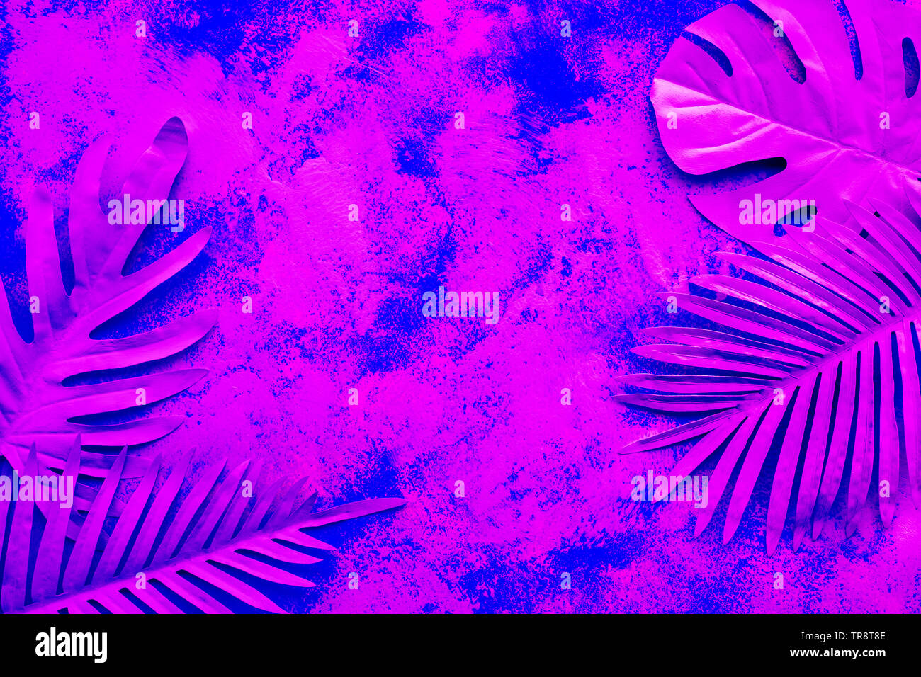 Raccolta di foglie tropicali,piante colorate sul gradiente dello sfondo dipinto.astratta decorazione foglia design.esotica natura arte e stile. Foto Stock