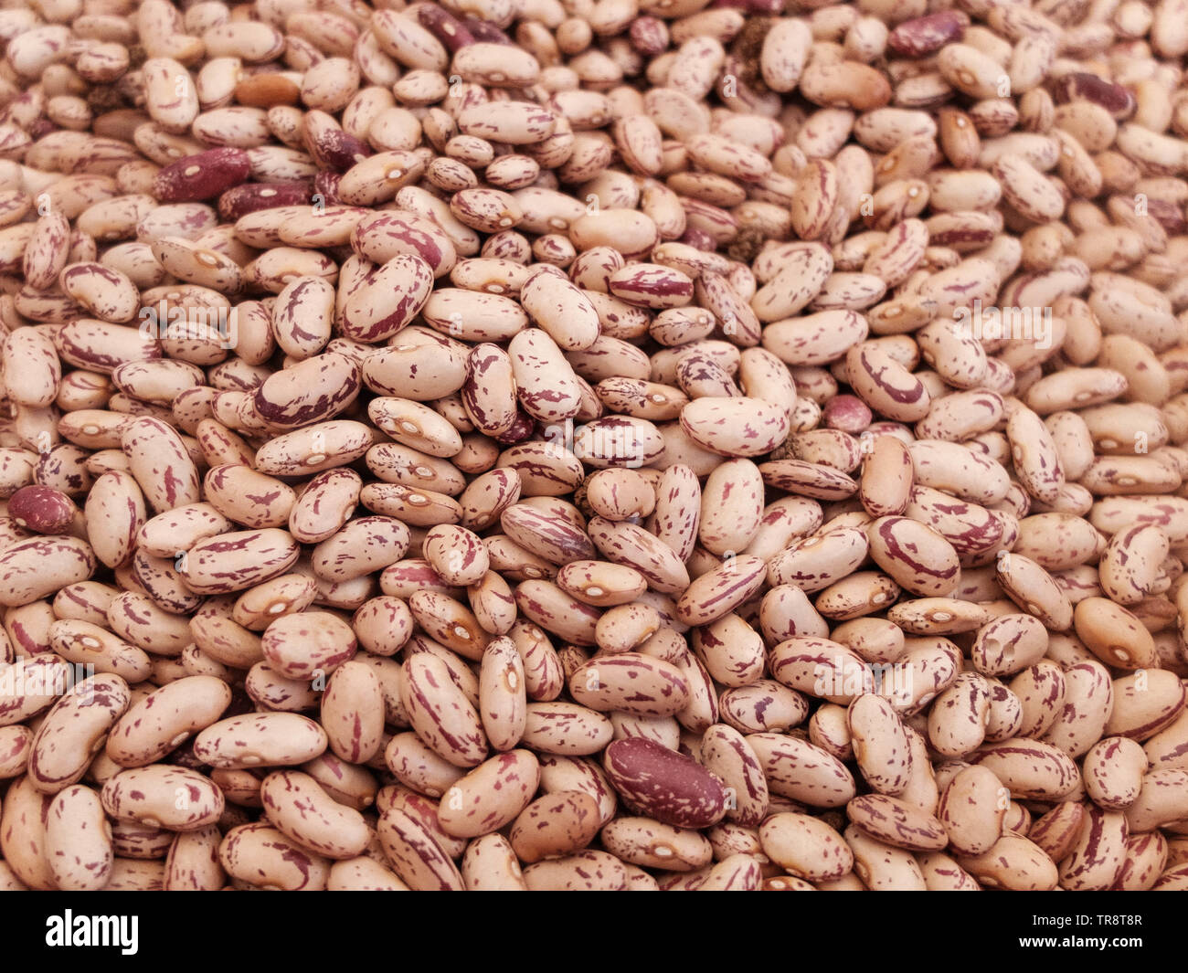 I fagioli a bagno turco paese contatore di mercato. Foto Stock