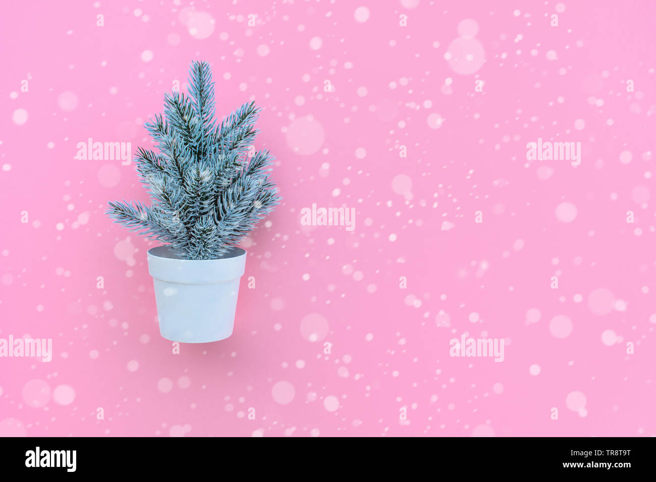 Carino pino in pentola con neve su sfondo rosa.Buon Natale e concetti d'inverno idee.Stile minimal Foto Stock