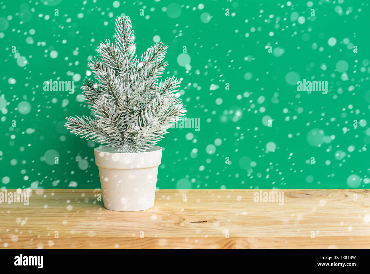 Carino pino in pentola con nevicata sulla barra di legno sfondo tabella.Buon Natale e concetti d'inverno idee.Stile minimal Foto Stock