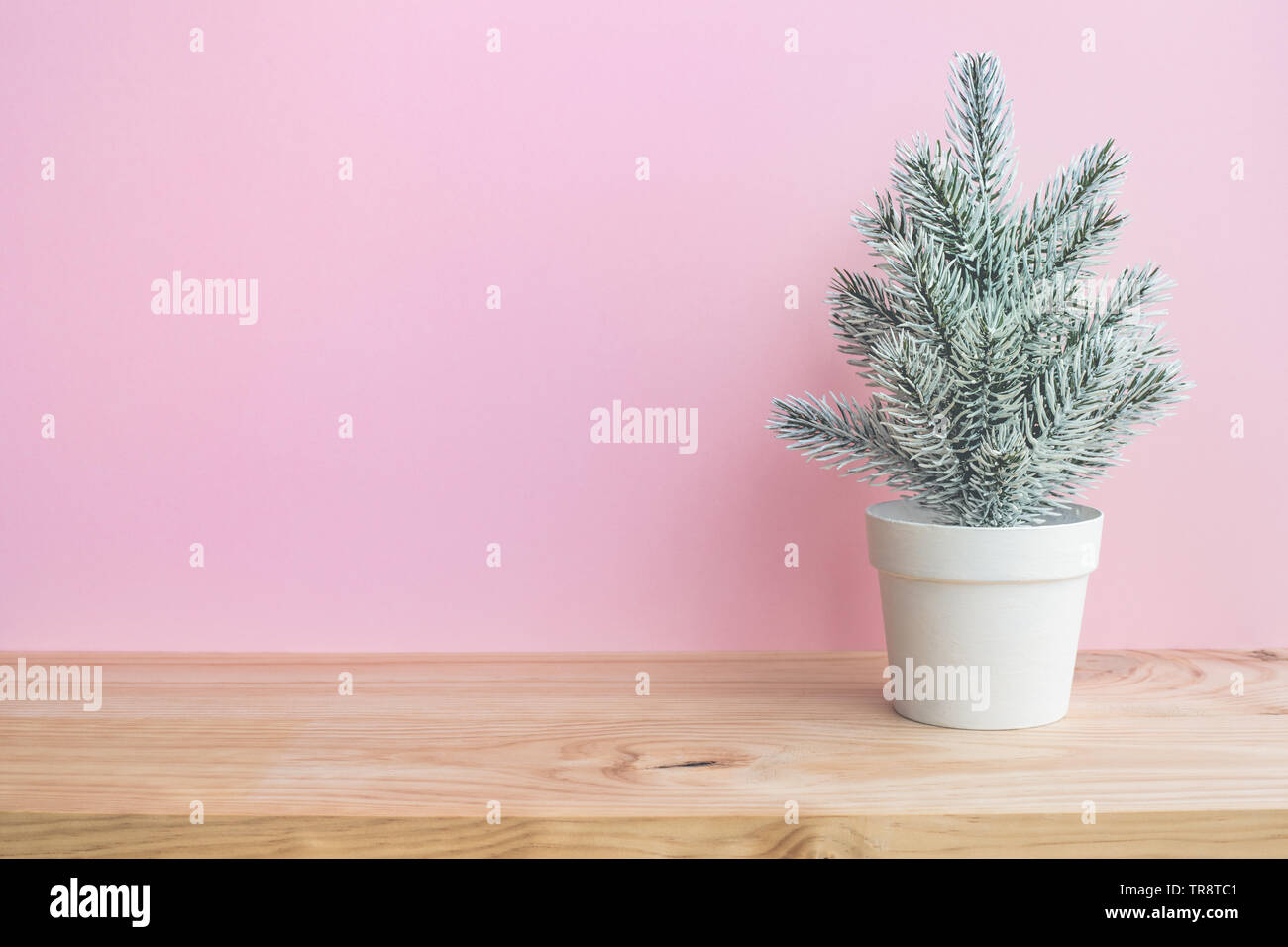 Carino pino mock up su bianco vaso sul tavolo di legno e rosa wwall sfondo.Buon Natale e concetti d'inverno idee.Stile minimal Foto Stock