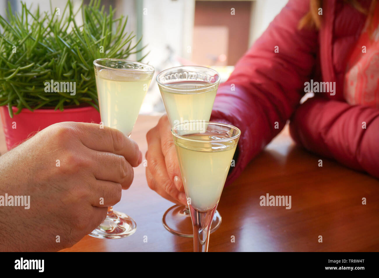 Giovane Azienda colpi di limonchello italiano bere alcool Foto Stock