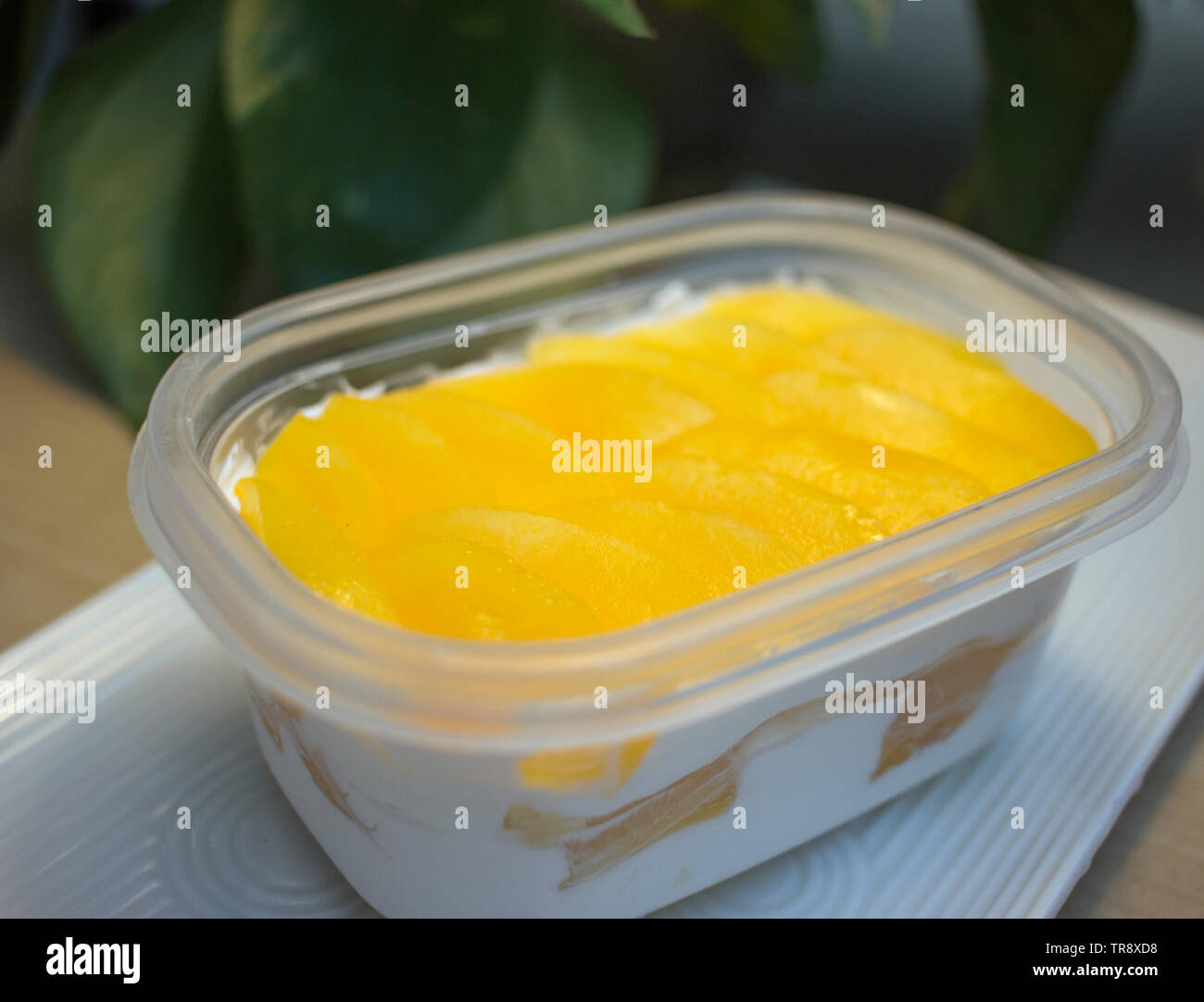 Mango doppia pelle latte, dessert in un cafe a Chengdu.di mango fresco e di pasta di legno a doppia pelle di latte, effettuate lo stesso giorno. Dessert su un vassoio bianco。 Foto Stock