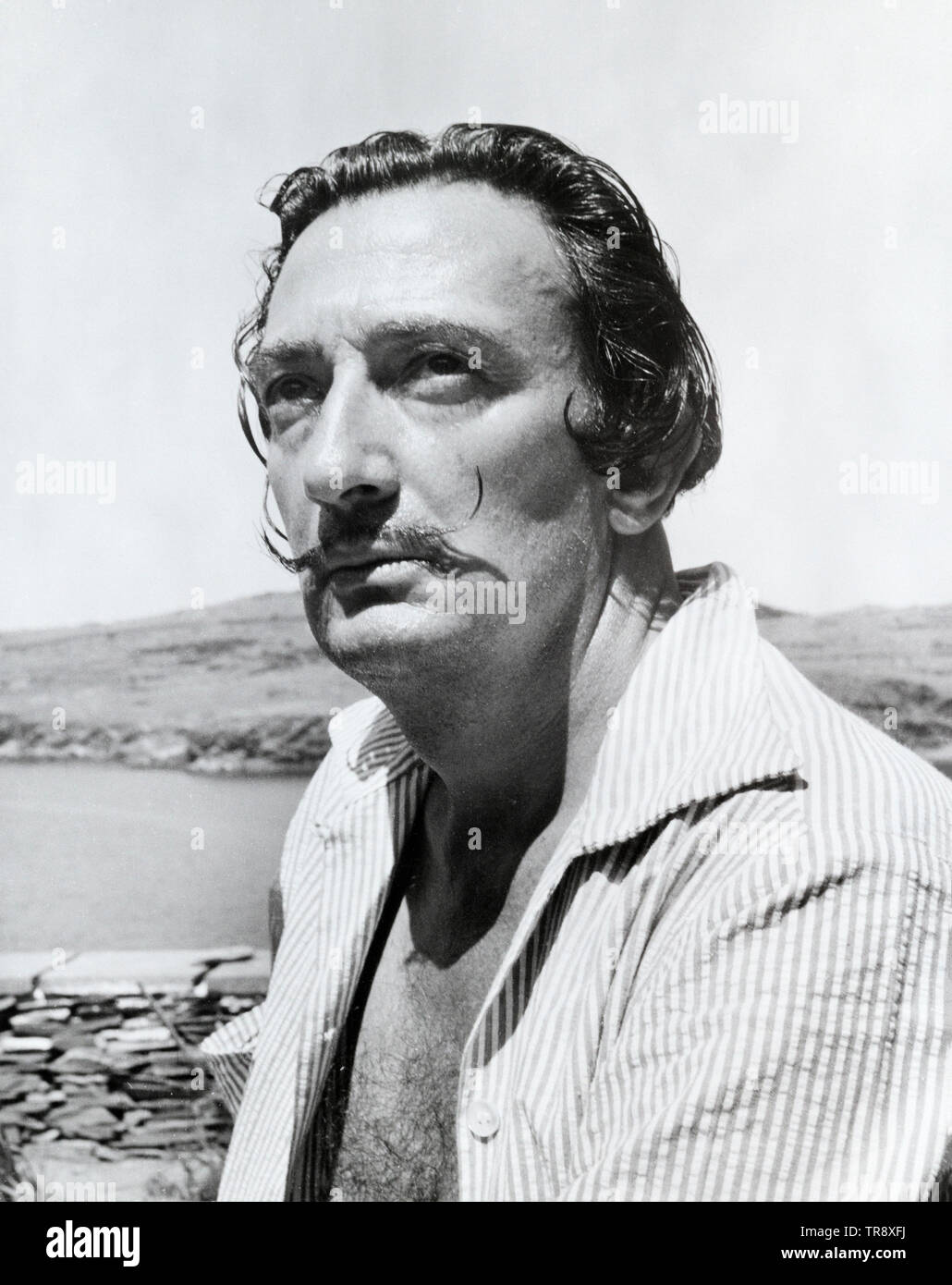 Lo spagnolo il pittore surrealista Salvador Dali. Foto Stock