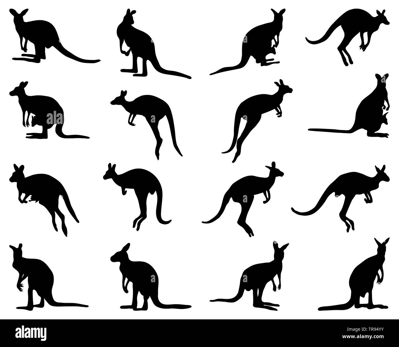 Silhouette nera di kangaroo su sfondo bianco Foto Stock