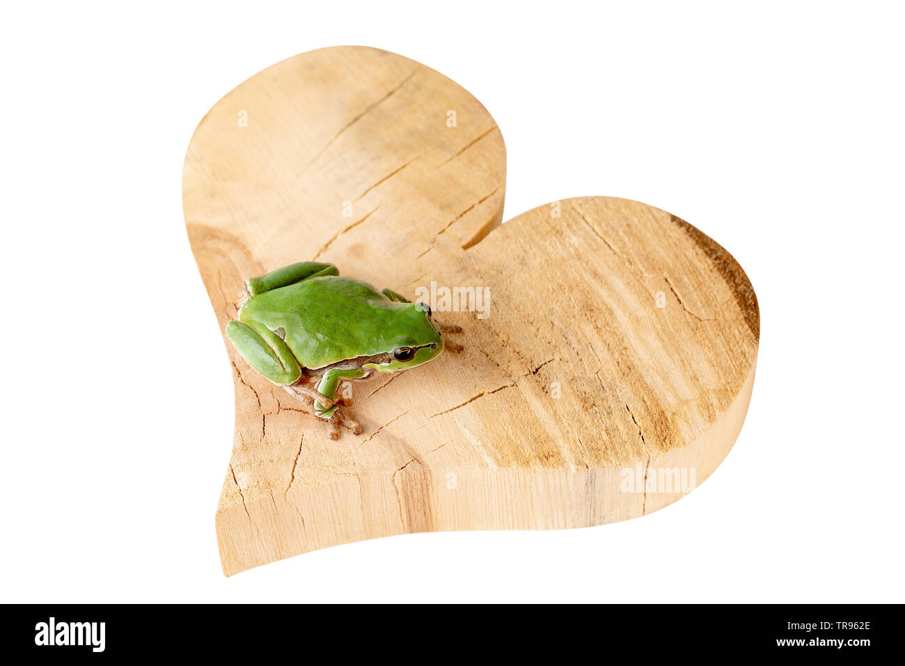 Ranocchio verde seduta sul cuore di legno il concetto di ambiente percorso di clipping incluso Foto Stock