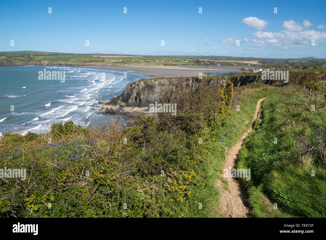 Sentiero costiero a Newport in Il Pembrokeshire Coast National Park, il Galles. Una soleggiata giornata di primavera. Foto Stock