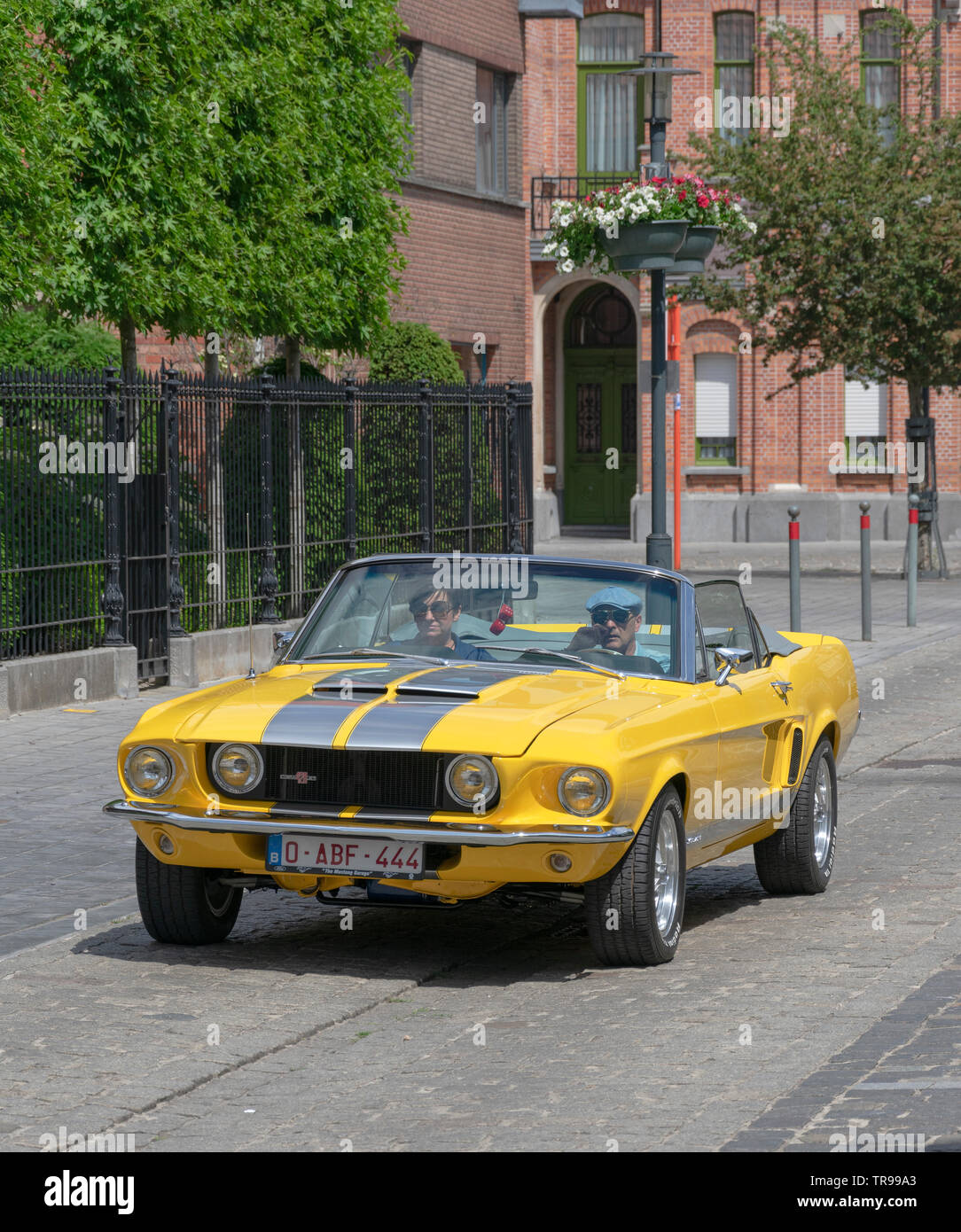 Melsele, Belgio, 30 maggio 2019, giallo 428 Mustang Cobra jet, su una vettura mostra Melsele in Belgio Foto Stock