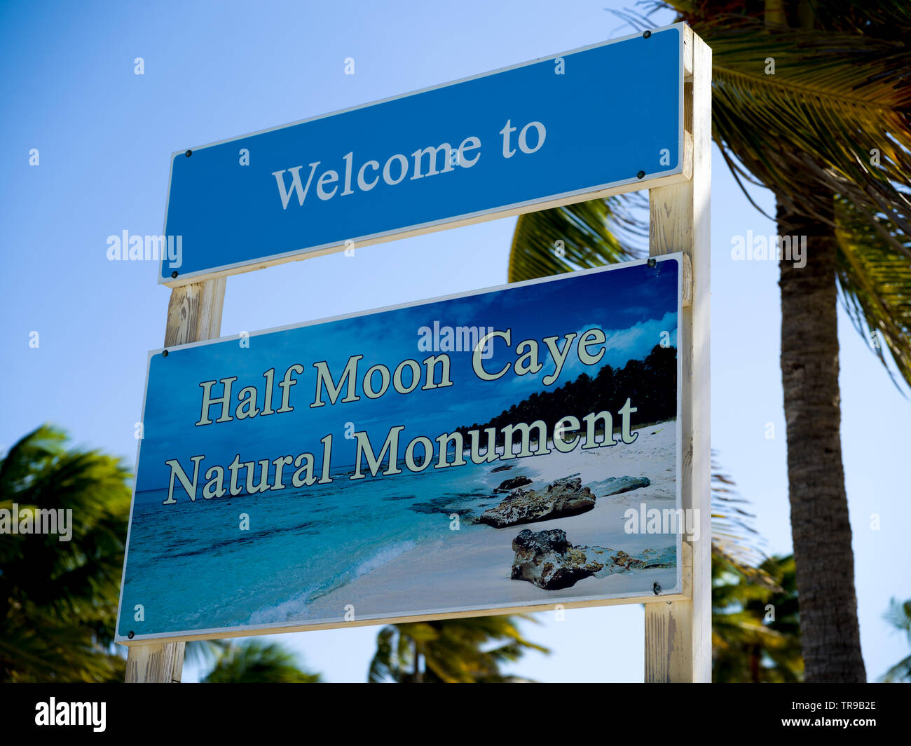 Close-up di segno positivo, Half Moon Caye Monumento Naturale, Half Moon Caye, Lighthouse Reef Atoll, Belize Foto Stock