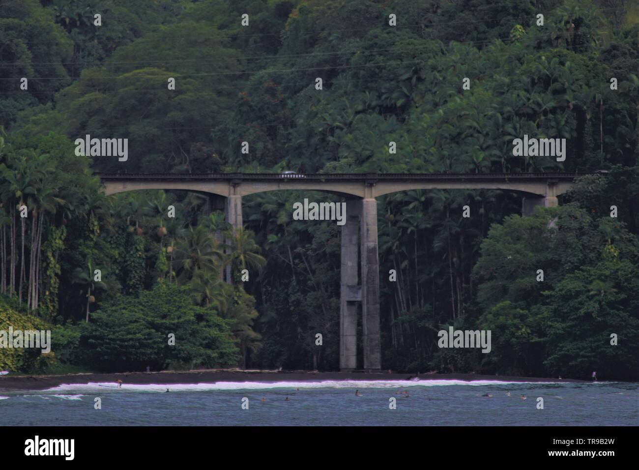 Un ponte in Hilo Hawaii viene eseguito da un'area tropicale lussureggiante con alberi lungo il fronte oceano Foto Stock