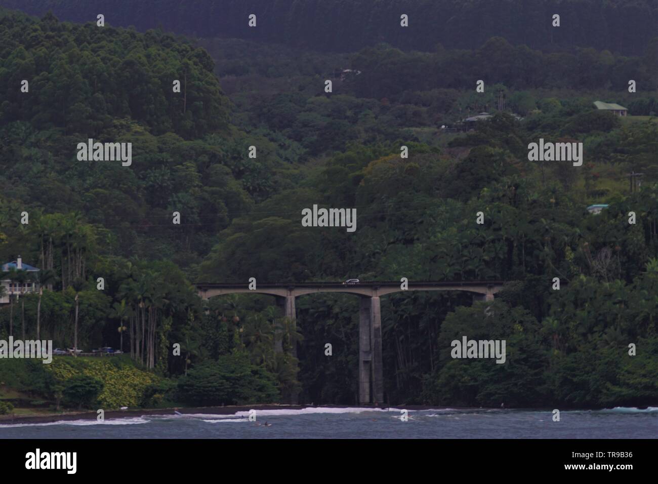 Un ponte in Hilo Hawaii viene eseguito da un'area tropicale lussureggiante con alberi lungo il fronte oceano Foto Stock