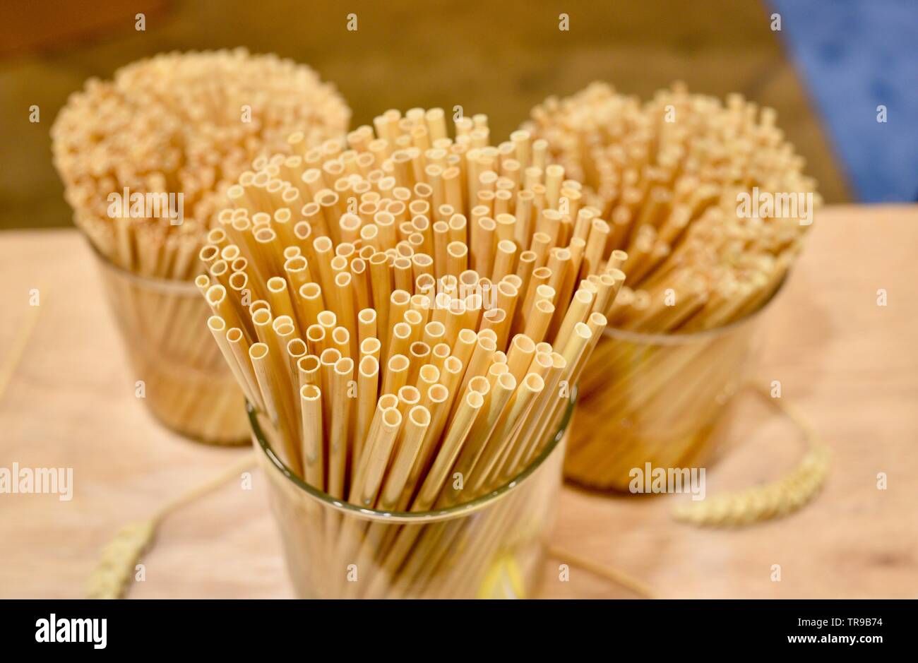 Assortiti cannucce naturale costituito da steli di grano in vasi sul display a Paglia Fieno stand al National Restaurant Association Show tenutosi a Chicago, IL, Stati Uniti d'America Foto Stock