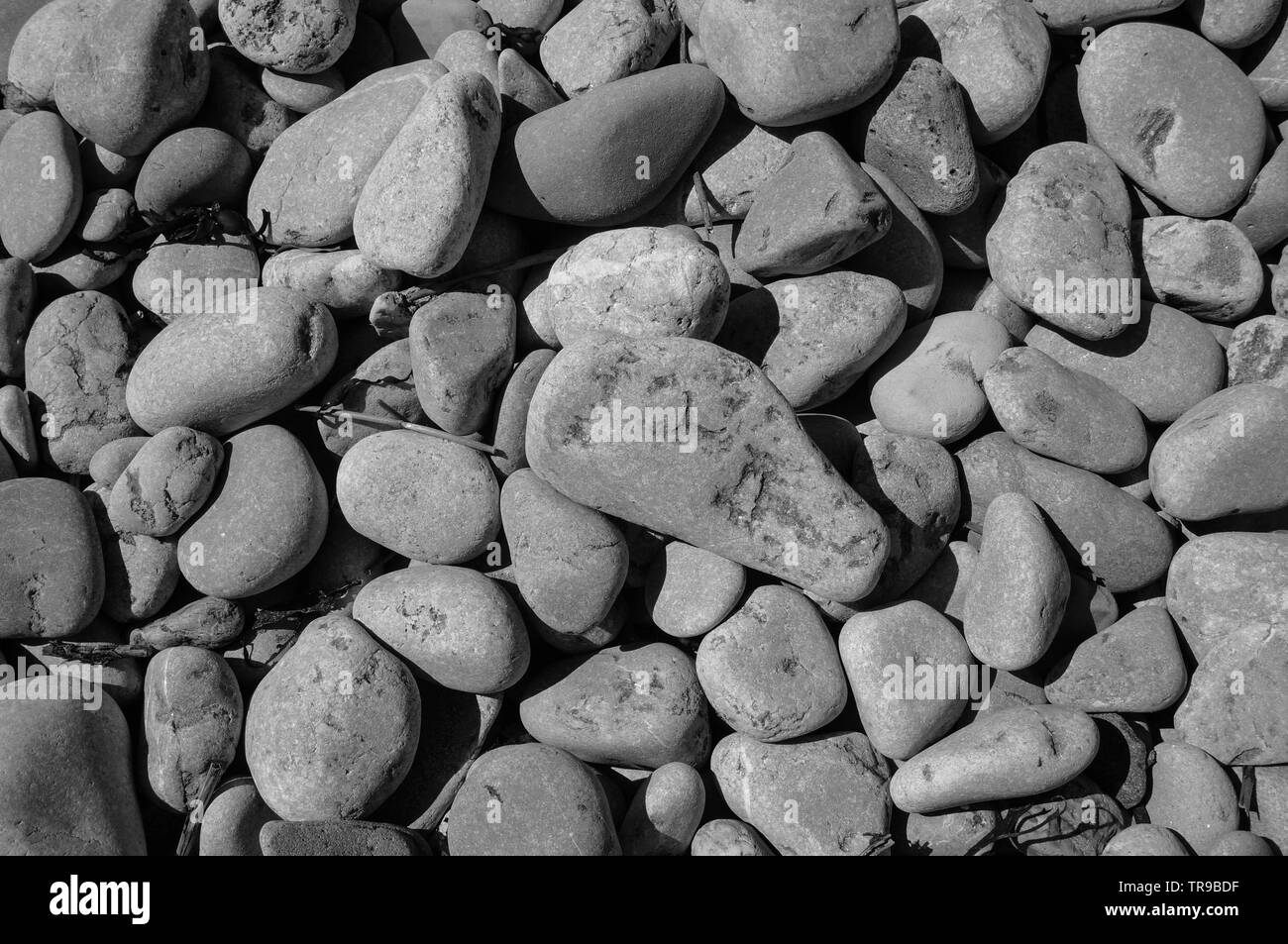 Vista ravvicinata di ciotoli arrotondati. Bianco e nero immagine di sfondo Foto Stock