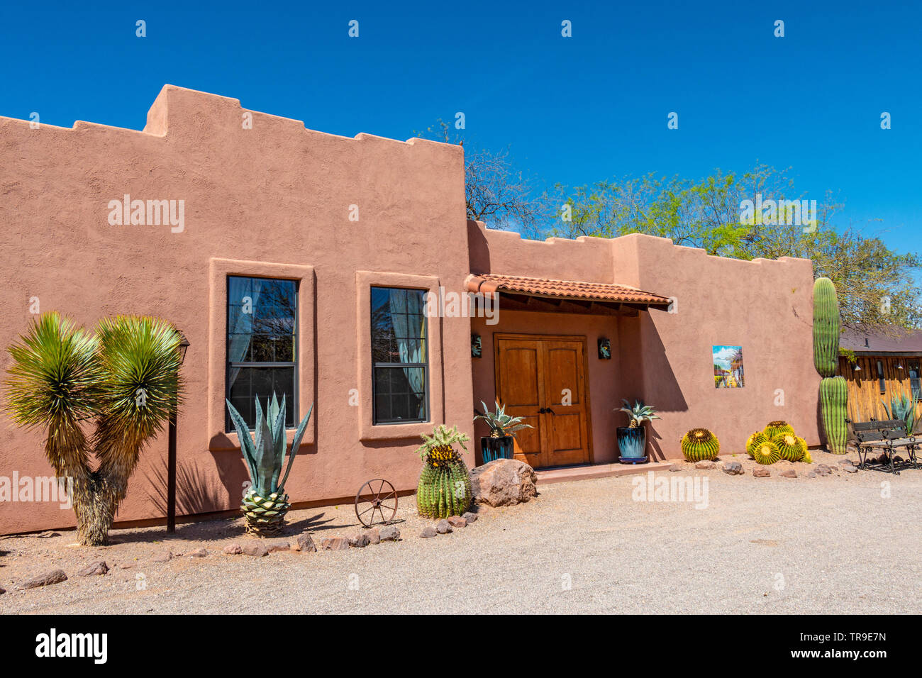 Uno degli edifici con assortimento di cactus piante che crescono al di fuori di White Stallion Ranch, un dude ranch appena fuori Tucson, AZ. Foto Stock