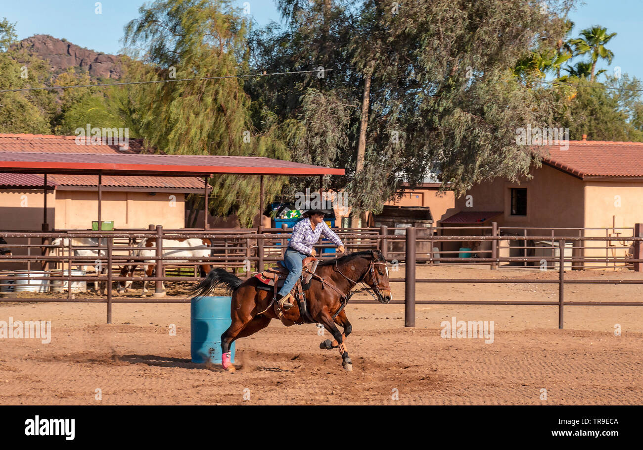 Rodeo settimanale a White Stallion Ranch, un dude ranch al di fuori di Tucson, AZ. Barell racing, un evento con orario limitato alla donna piloti. Un eccellente canna gara ho Foto Stock